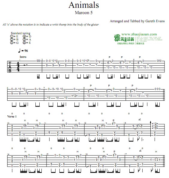 Gareth Evans Animals