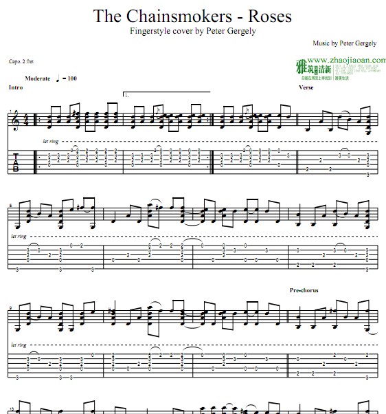 Peter GergelyThe Chainsmokers - Roses