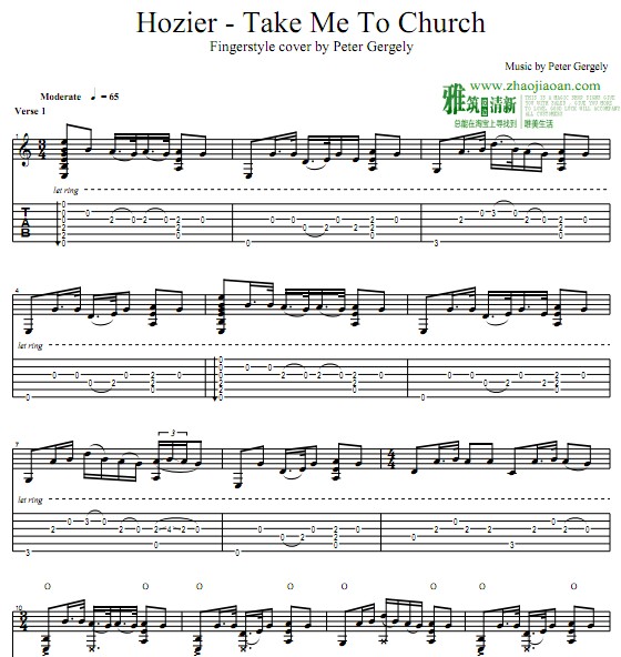 Peter GergelyHozier Take Me To Churchָ