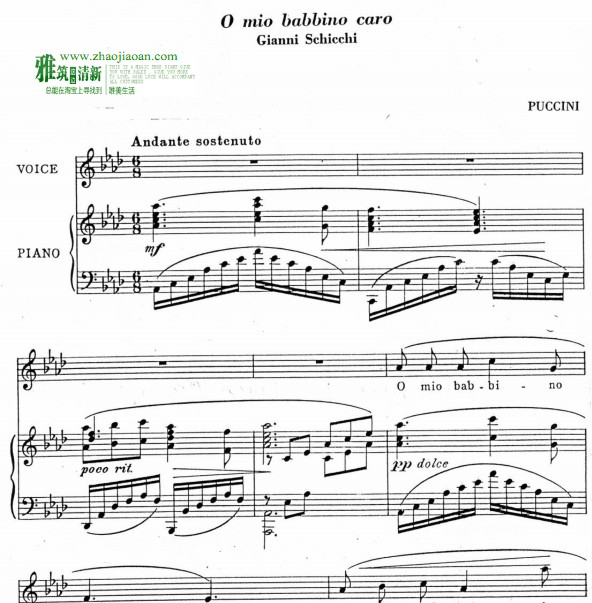 亲爱的爸爸意大利歌词钢琴伴奏谱