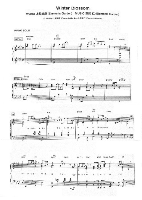 Ծ̫Winter Blossomԭ