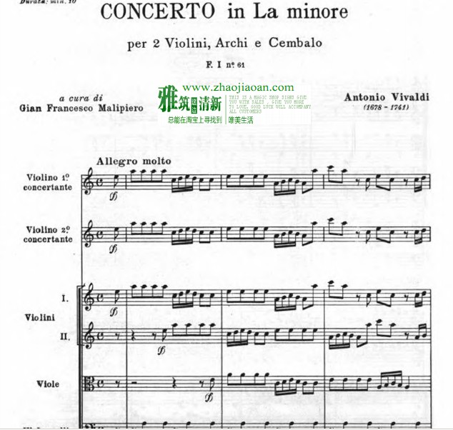 Vivaldi ά߶ aС˫СЭ RV523