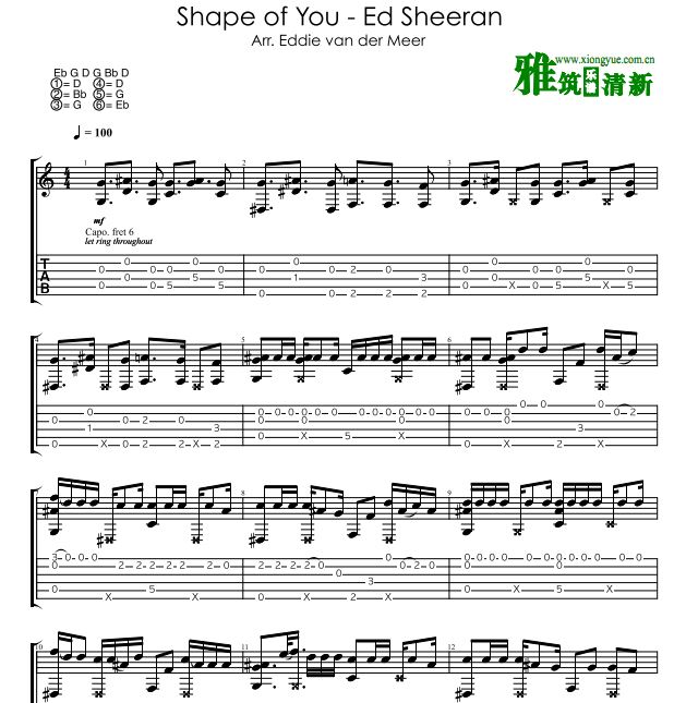 Eddie Van Der Meer Shape of You
