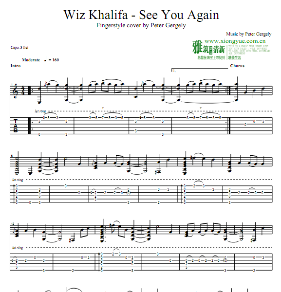 Peter Gergelyָ See You Again