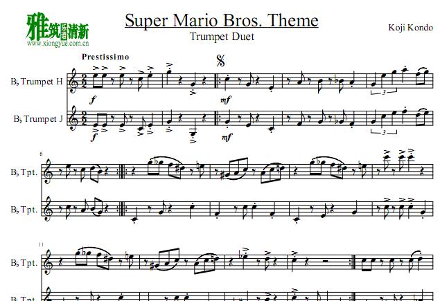 СŶ Super Mario Bros Theme