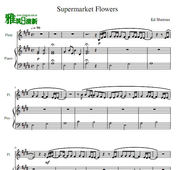 Supermarket Flowers 长笛钢琴合奏谱