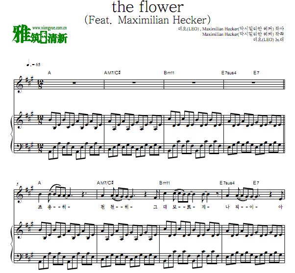 LEO֣ the flower ٰ ԭ