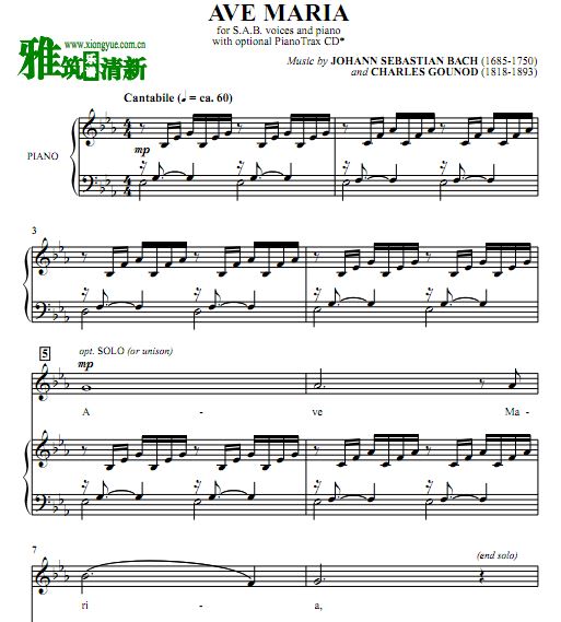ͺչŵ Ave Maria ʥĸSABϳٰ 