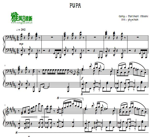 phyxinon - pupa������