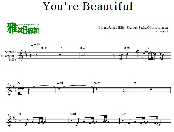 Kenny G 凯丽·金 You're Beautiful 萨克斯谱