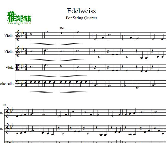 ѩ޻ Edelweiss 