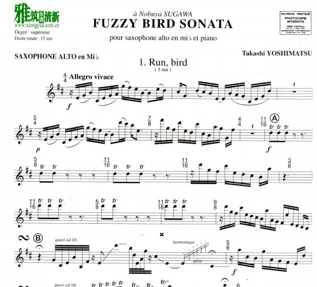 ¡ Fuzzy Bird Sonata ë˹