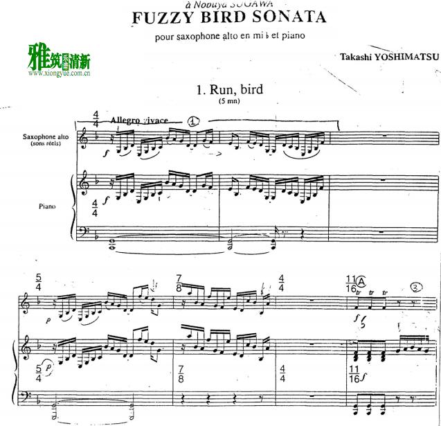¡ Fuzzy Bird Sonata ë˹ٰ ȫ
