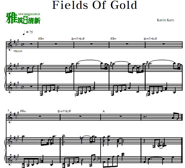 kevin kern - fields of gold  + SOLO