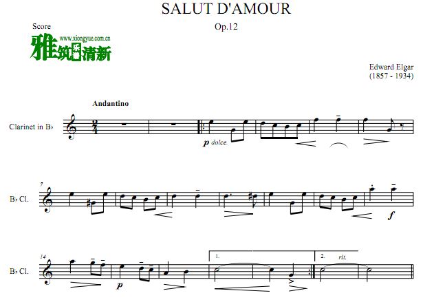 Salut d'amour ޵ɹ