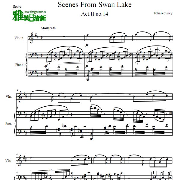 Scene From Swan Lake ɷ˹Сٸٰ