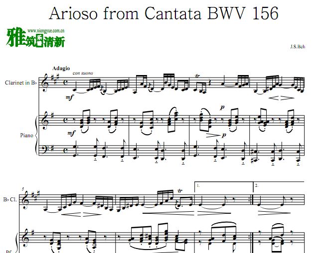 ͺ Сӽ̾ Ariosoɹٰܸ