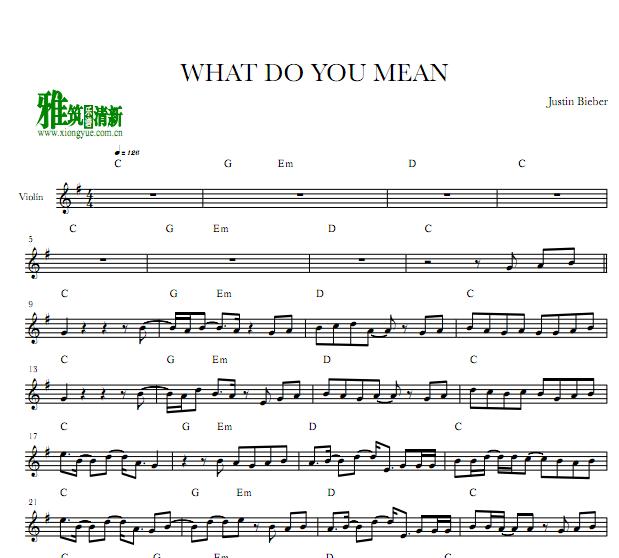 Justin Bieber - WHAT DO YOU MEAN 小提琴谱