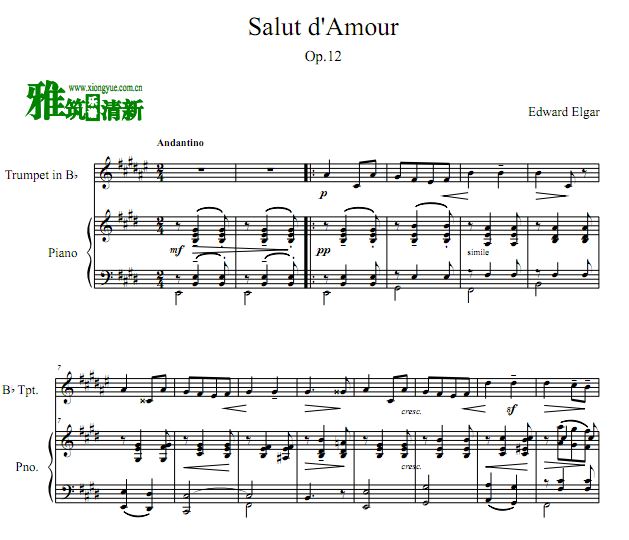 Salut d'amour С