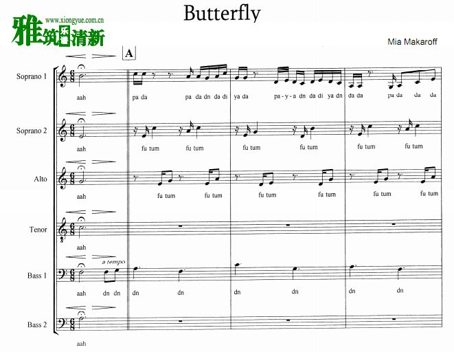 س Butterflyϳ