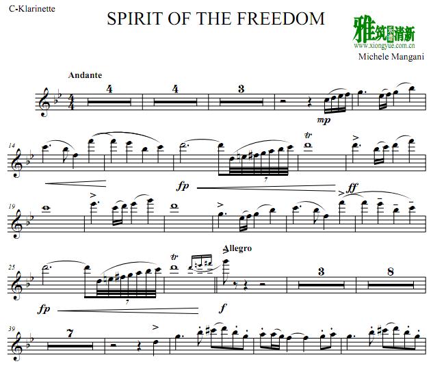  -  Spirit of Freedomɹ