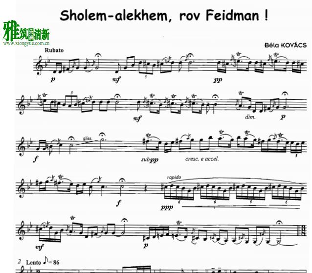 致敬费德曼单簧管谱