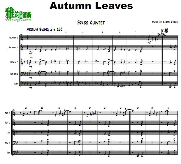 autumn leaves Ҷͭ
