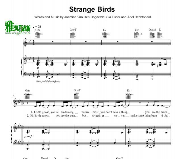 birdy - strange birds  ٰ