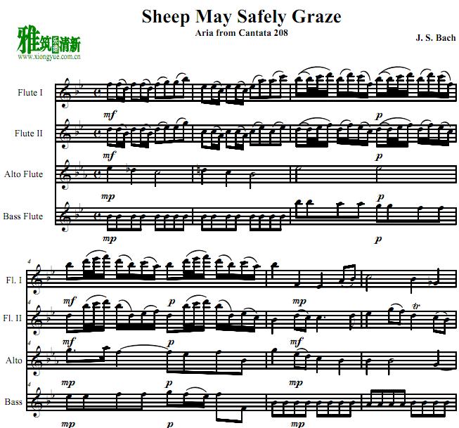 ͺ ĳԲ Sheep May Safely Graze