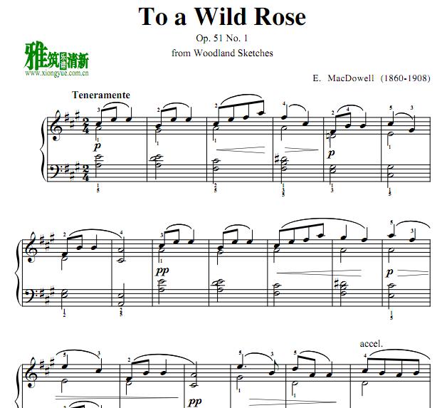 ˵ Ұõ To a Wild Rose