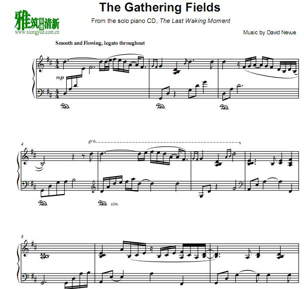 David Nevue - The Gathering Fields