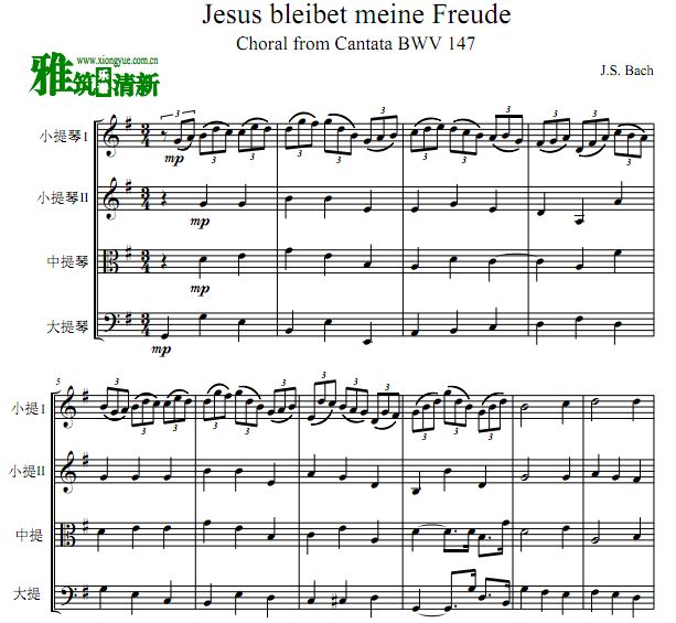 Jesus Bleibet Meine Freude弦乐四重奏谱