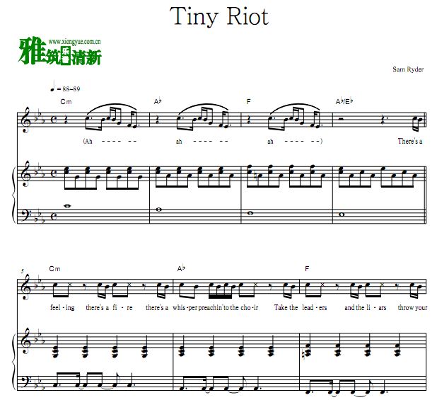 Sam Ryder - Tiny Riot  ԭ