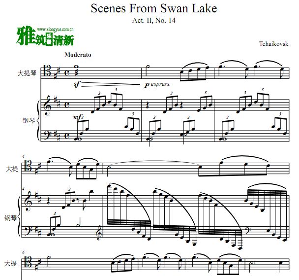 Scene From Swan Lake ɷ˹  ٰ