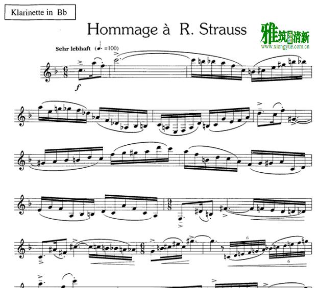 ¾ʩ˹ hommage a R.strauss  ɹ