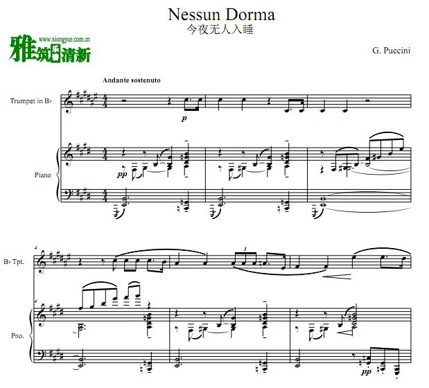 Nessun Dorma ҹ˯С ٰ