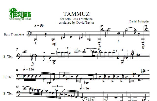 Daniel Schnyder  - tammuz