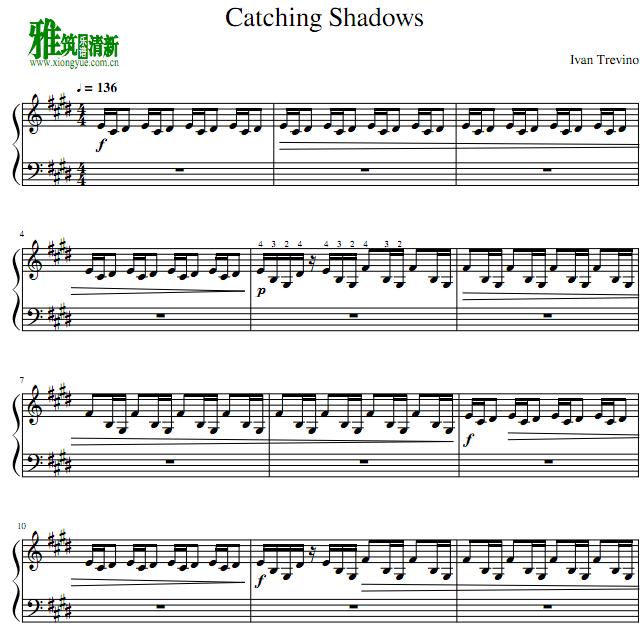 Ӱcatching shadowsְ