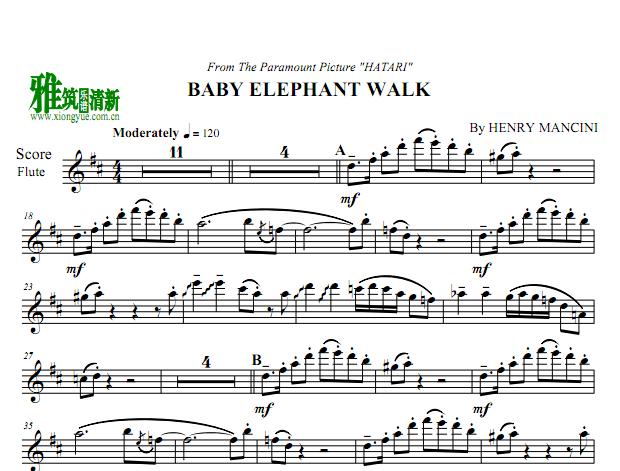  - Baby Elephant WalkС