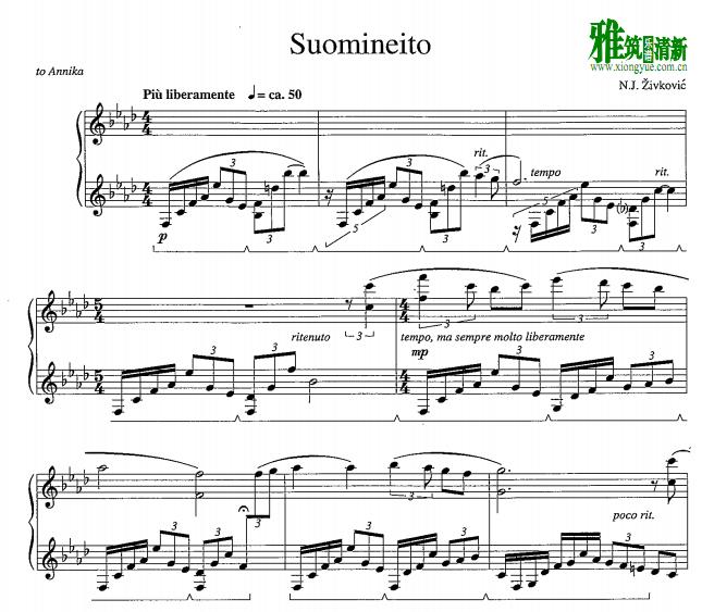 Nebojsa Jovan Zivkovic - Suomineito