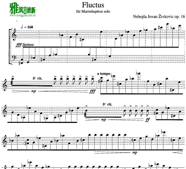 Nebojsa Jovan Zivkovic - fluctusְ