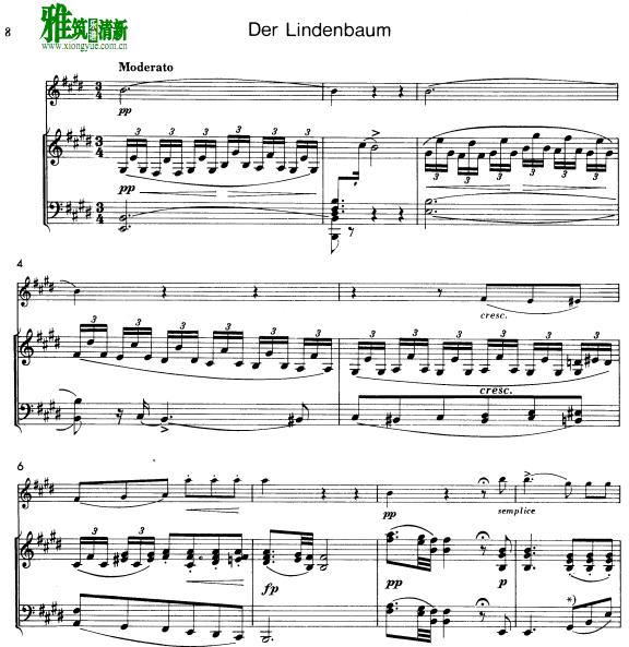 沮 Der Lindenbaum Ѹٰ