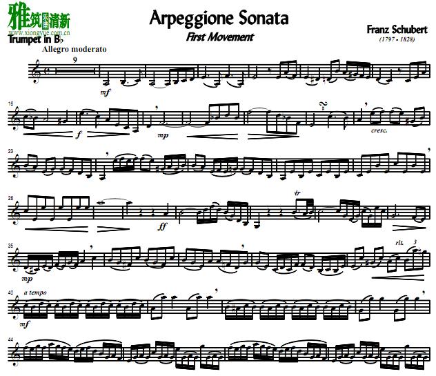 沮  Arpeggione һ С