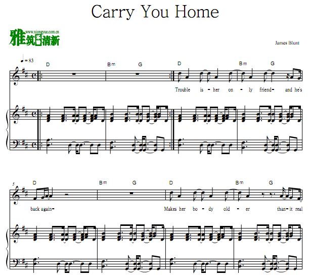 James Blunt - Carry You Home  