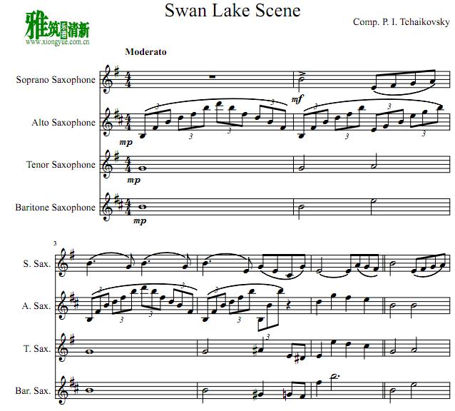 ɷ˹  Scene From Swan Lake ˹