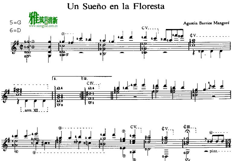 ˹ - ɭ֮ barrios - un sueno en la floresta