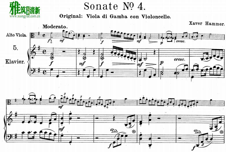 ÷  Hammer Xaver   ٸٰ