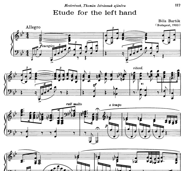 ���п�������ϰ������ Etude for the left hand